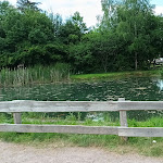 Photo n°2 de l'avis de Franky. fait le 10/06/2022 à 16:02 sur le  fisch-hofladen.de - cress Park Erfurt à Erfurt