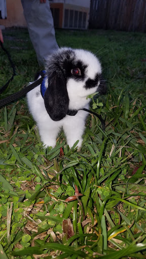 Pet Supply Store «Pet Supermarket», reviews and photos, 4445 E Bay Dr, Clearwater, FL 33764, USA