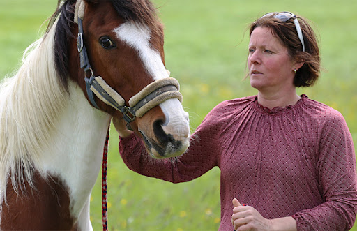 Tierarztpraxis Friedmann unter Oberstadion, Baden Württemberg