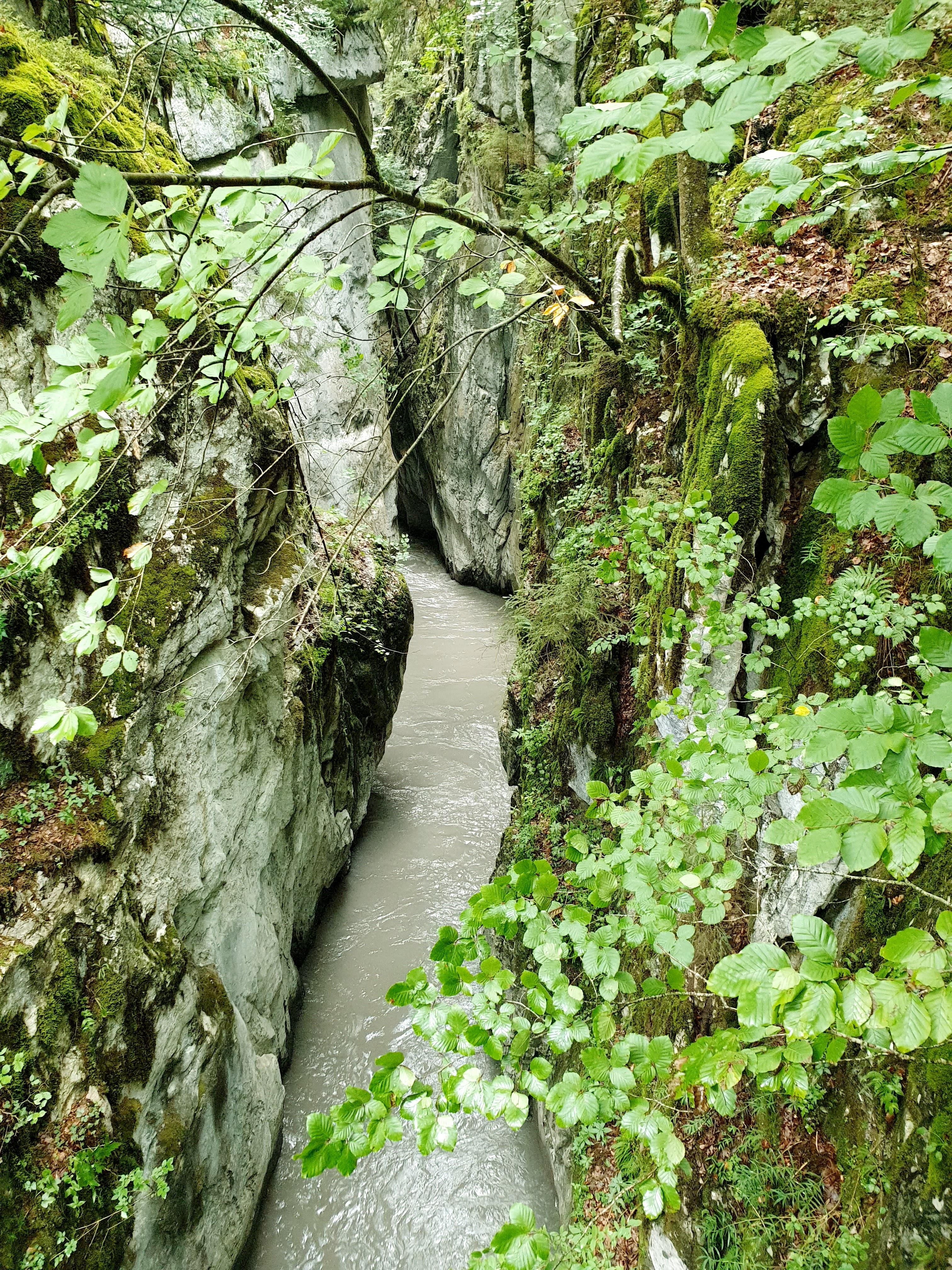 Photo n° 14 de l'avis de Gilles.H fait le 22/07/2020 à 15:28