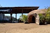 Temascal Logo, Troncones A Ɛwɔ Hɔ, Mexico, Doctor