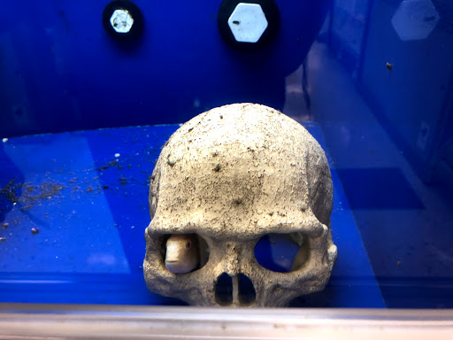 Pet Supply Store «Pet Supplies Plus», reviews and photos, 5092 Mayfield Rd, Lyndhurst, OH 44124, USA