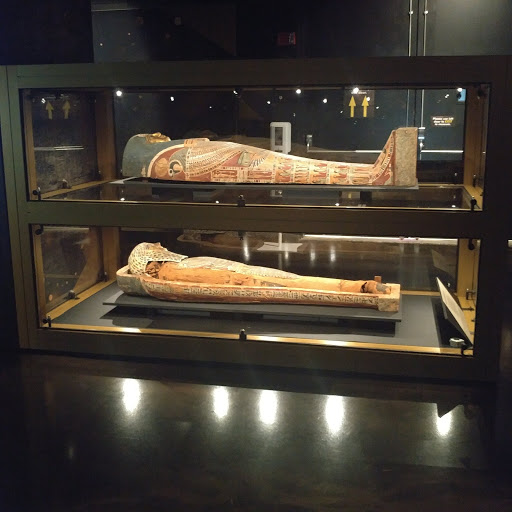 Science Museum «Buffalo Museum of Science», reviews and photos, 1020 Humboldt Pkwy, Buffalo, NY 14211, USA