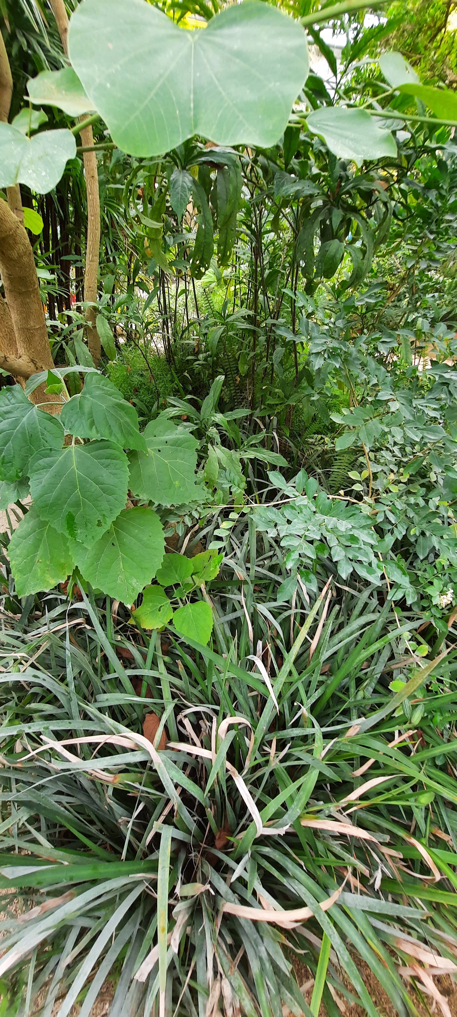 Photo n° 29 de l'avis de Follow.e fait le 28/07/2021 à 17:27