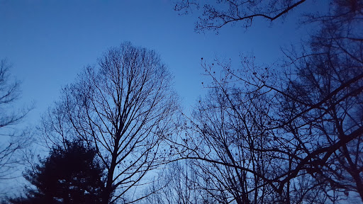 Park «Teegarden Park», reviews and photos, 440 Old State Rd, Berwyn, PA 19312, USA