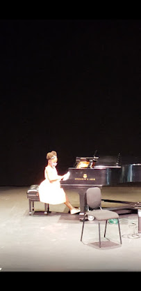 Tampa Fine Arts Academy - Photo 9 - Car repair in Wesley Chapel, FL, Tampa