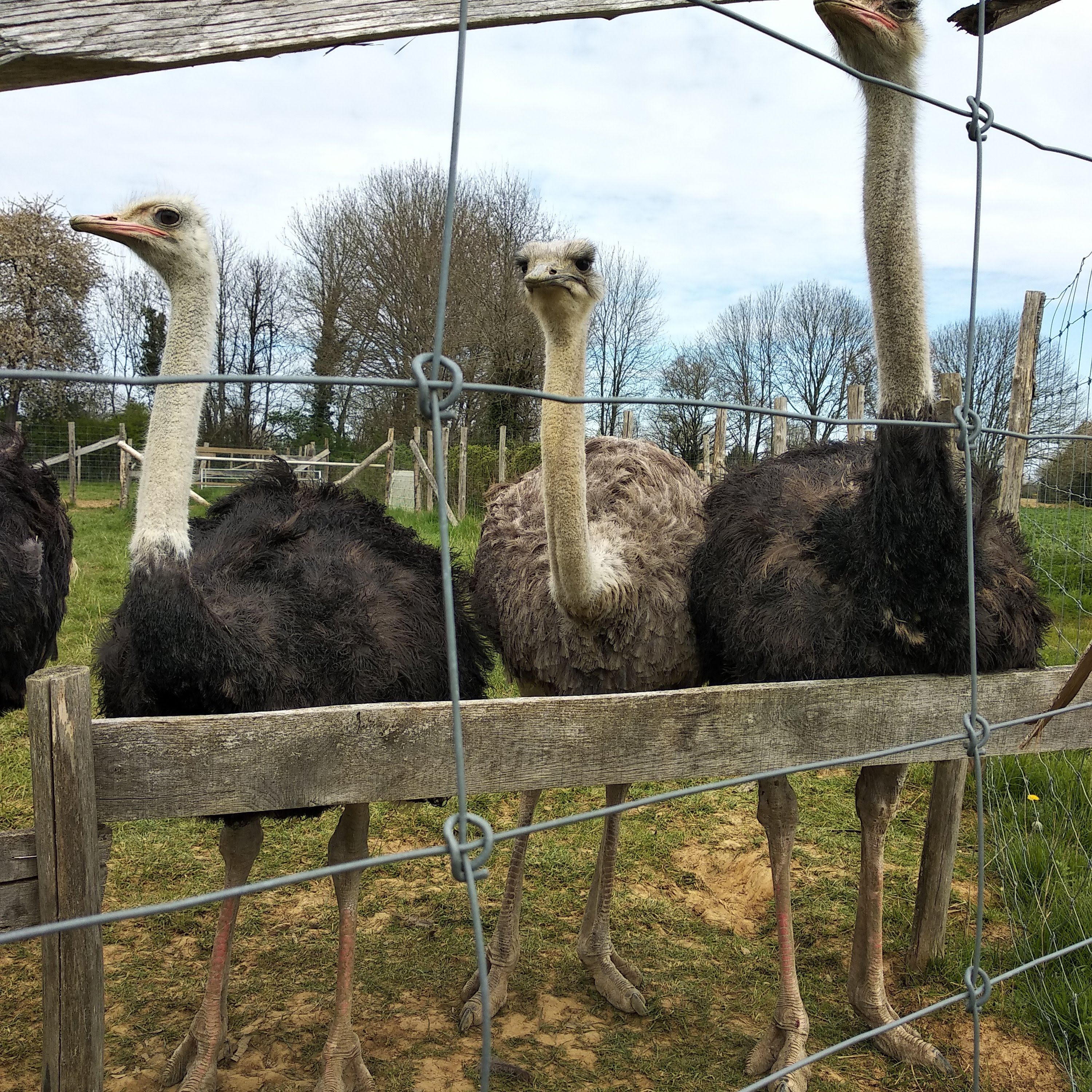 Photo n° 15 de l'avis de Corinne.r fait le 20/04/2019 à 14:41