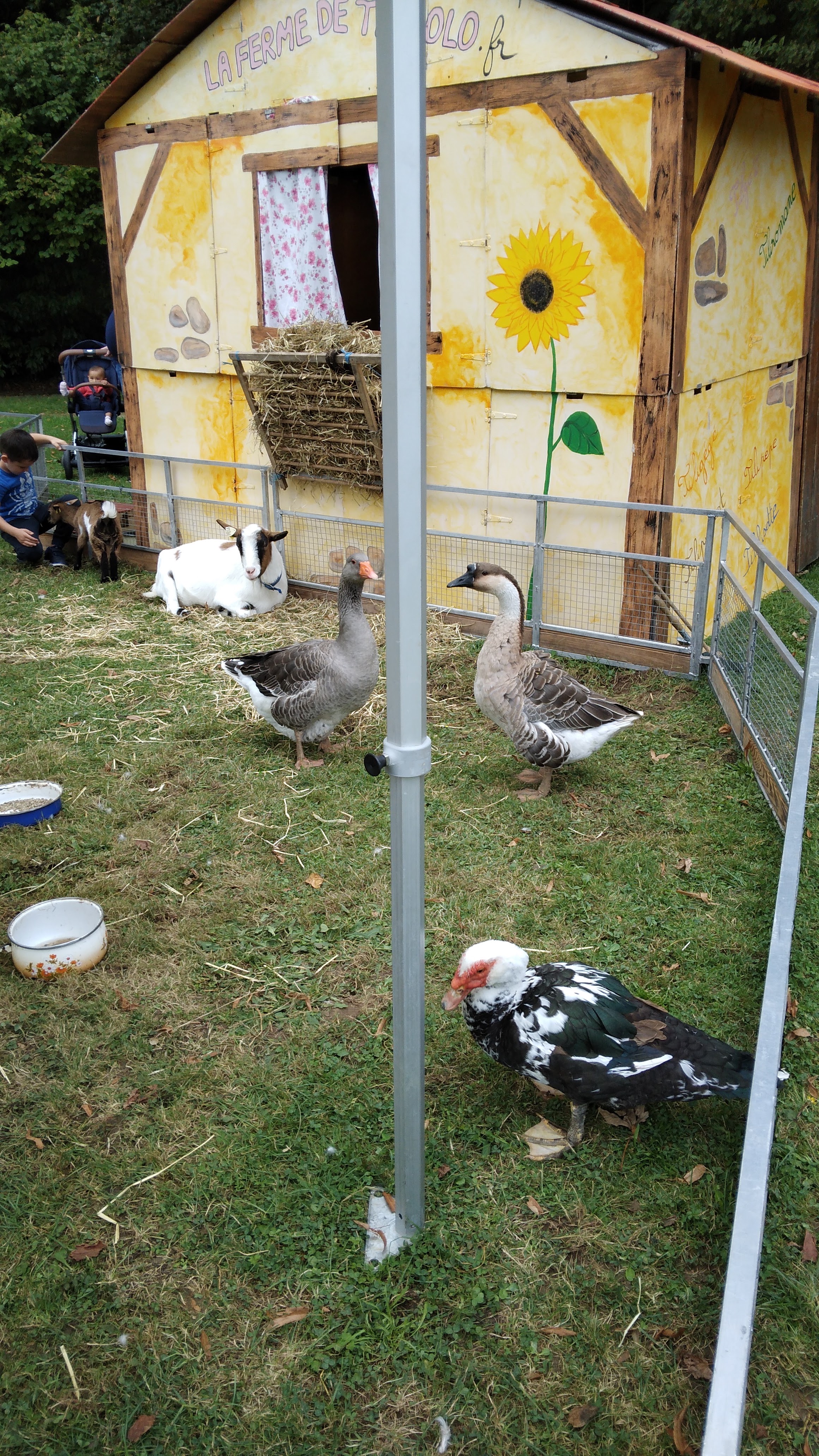 Photo n° 4 de l'avis de Christine.a fait le 23/09/2023 à 15:43