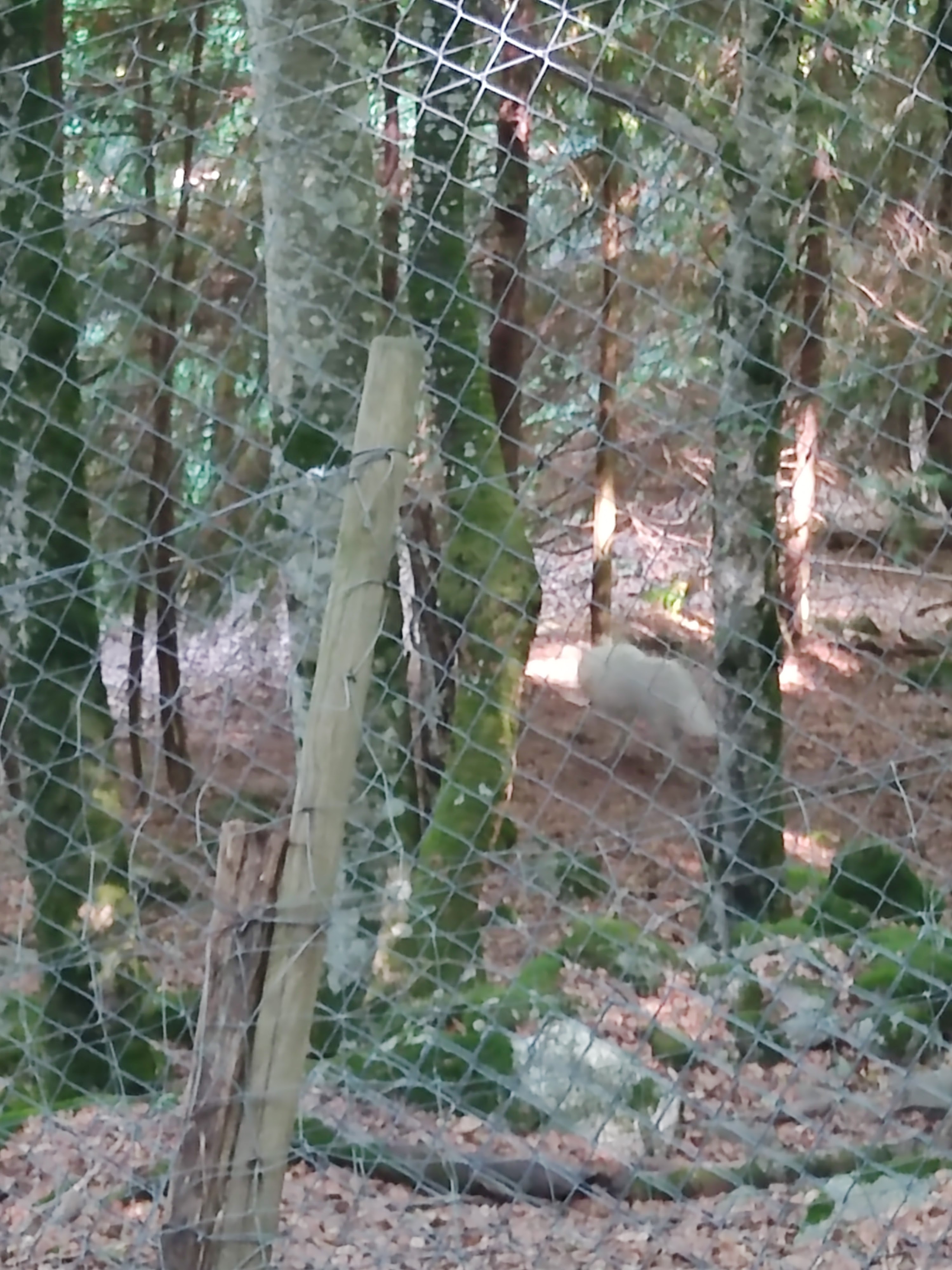 Photo n° 10 de l'avis de Delphine.e fait le 17/08/2022 à 19:26