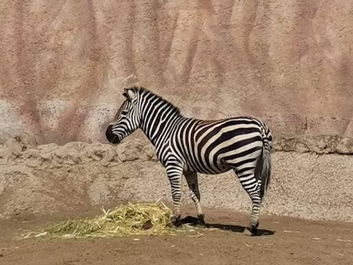 Zoológico San Juan de Aragón