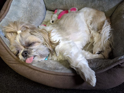 Used Car Dealer «Victory Motors», reviews and photos, 29169 23 Mile Rd, Chesterfield, MI 48047, USA