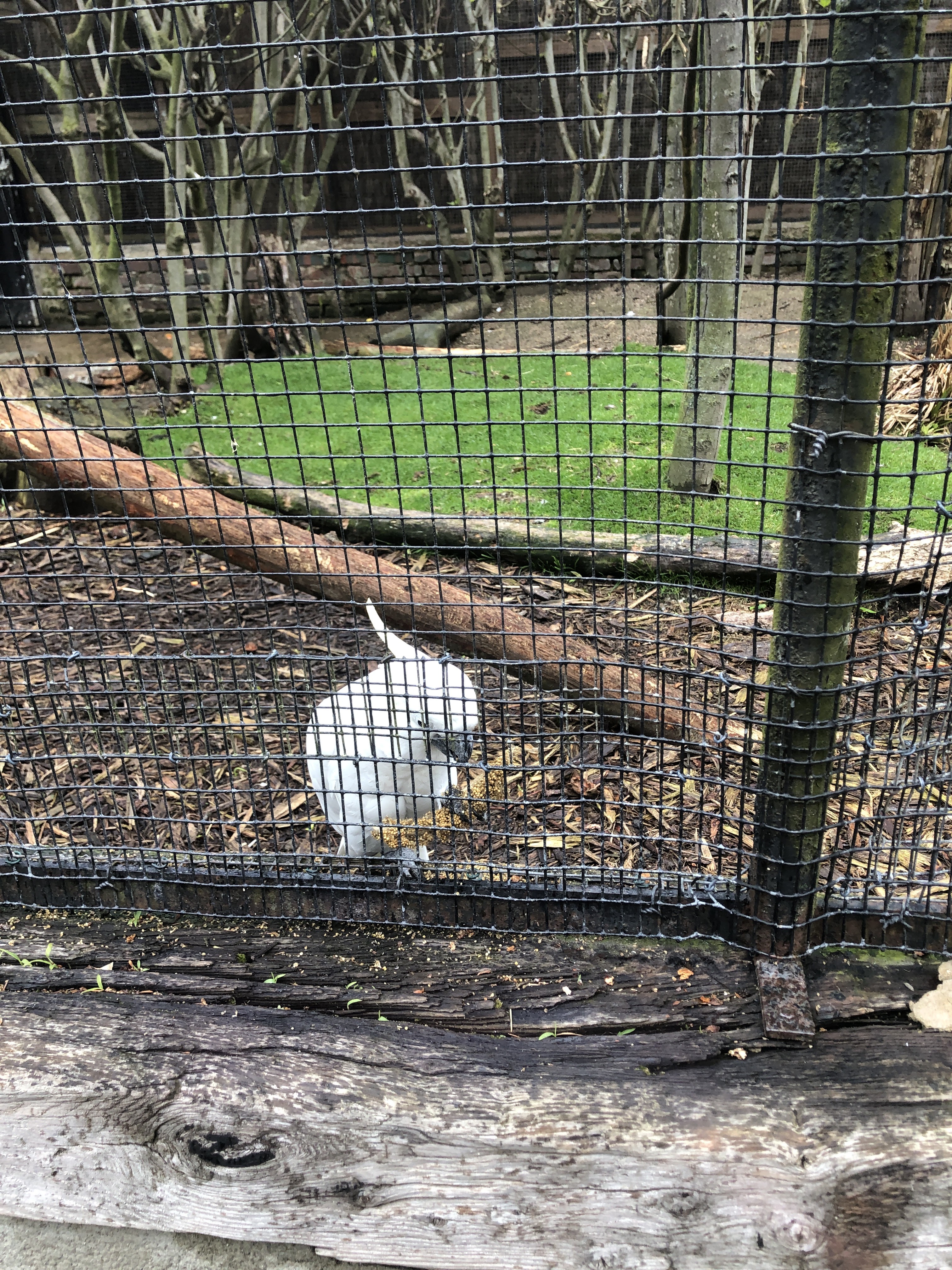 Photo n° 5 de l'avis de R. fait le 25/04/2023 à 06:22