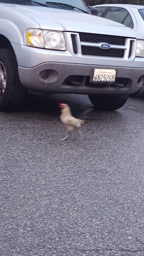 Shipping and Mailing Service «FedEx Ship Center», reviews and photos, 1081 Fullerton Rd, City of Industry, CA 91748, USA