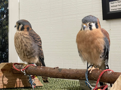 Park «George C. McGough Nature Park - The Narrows», reviews and photos, 11901 146th St N, Largo, FL 33774, USA