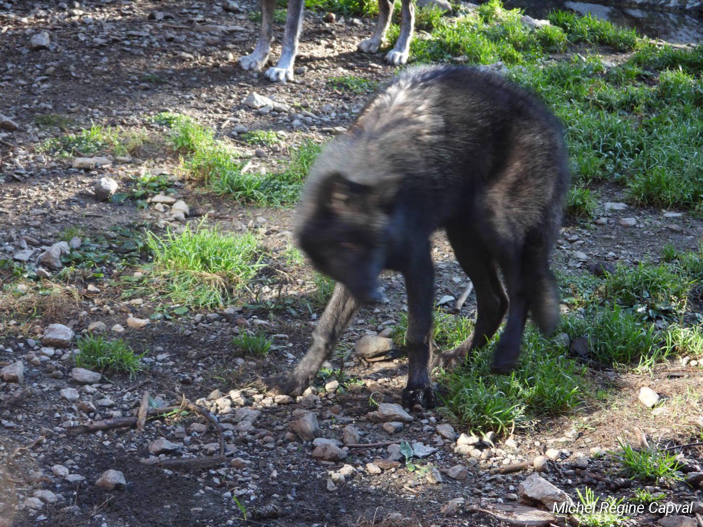Photo n° 37 de l'avis de michel.a fait le 03/10/2019 à 13:25
