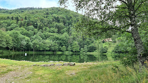 Photo n°2 de Lac du Lachtelweiher à Kirchberg ()