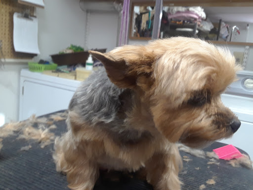 Pet Supply Store «Pets For You», reviews and photos, 413 N Main St, Rice Lake, WI 54868, USA