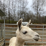 Photo n°7 de l'avis de M. fait le 01/12/2021 à 20:58 sur le  Landschloss Ernestgrün à Bad Neualbenreuth