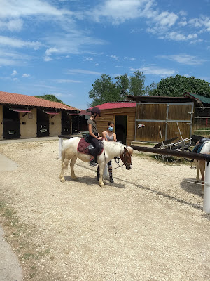 Centre équestre du cheval pie à Sabran