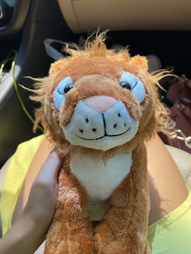 Medical Diagnostic Imaging Center «My little baby 4d & boutique», reviews and photos, 8930 TX-121, McKinney, TX 75070, USA