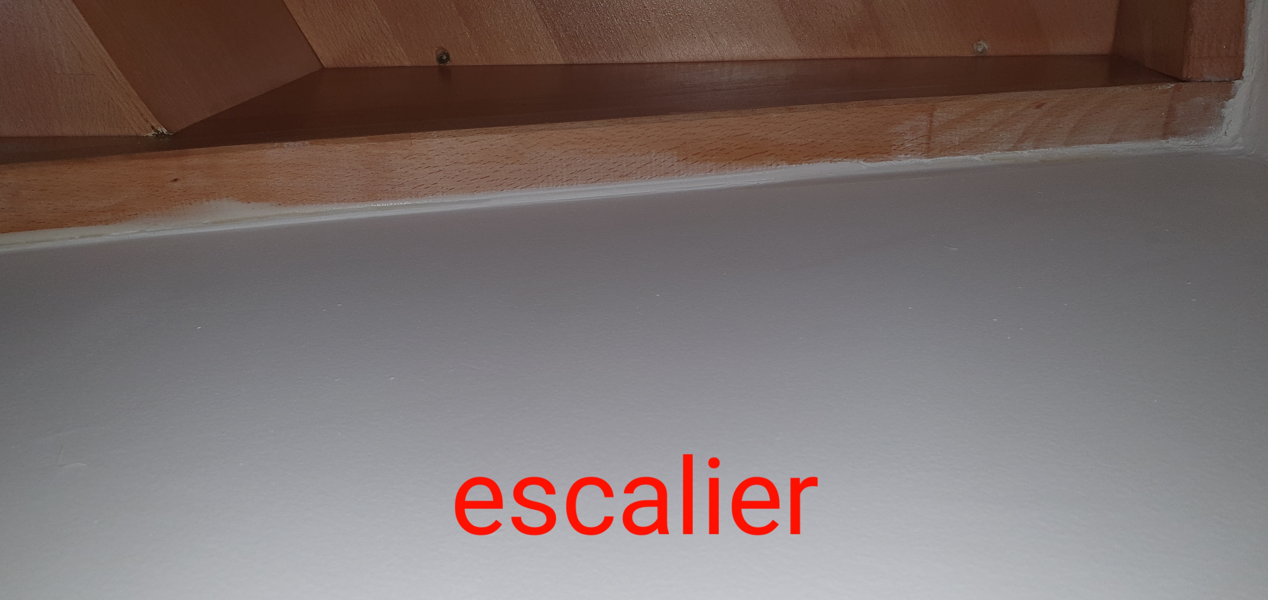 Photo n° 24 de l'avis de co.o fait le 19/03/2021 à 16:42