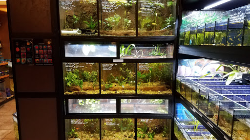 Pet Store «Movie Vault & PETropoliS live», reviews and photos, 1296 Anderson City Rd, Lawrenceburg, KY 40342, USA