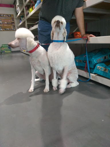 Pet Groomer «Pet Choice», reviews and photos, 4203 MacArthur Blvd, Oakland, CA 94619, USA