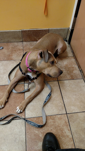 Pet Supply Store «PetSmart», reviews and photos, 1700 Fruitville Pike, Lancaster, PA 17601, USA