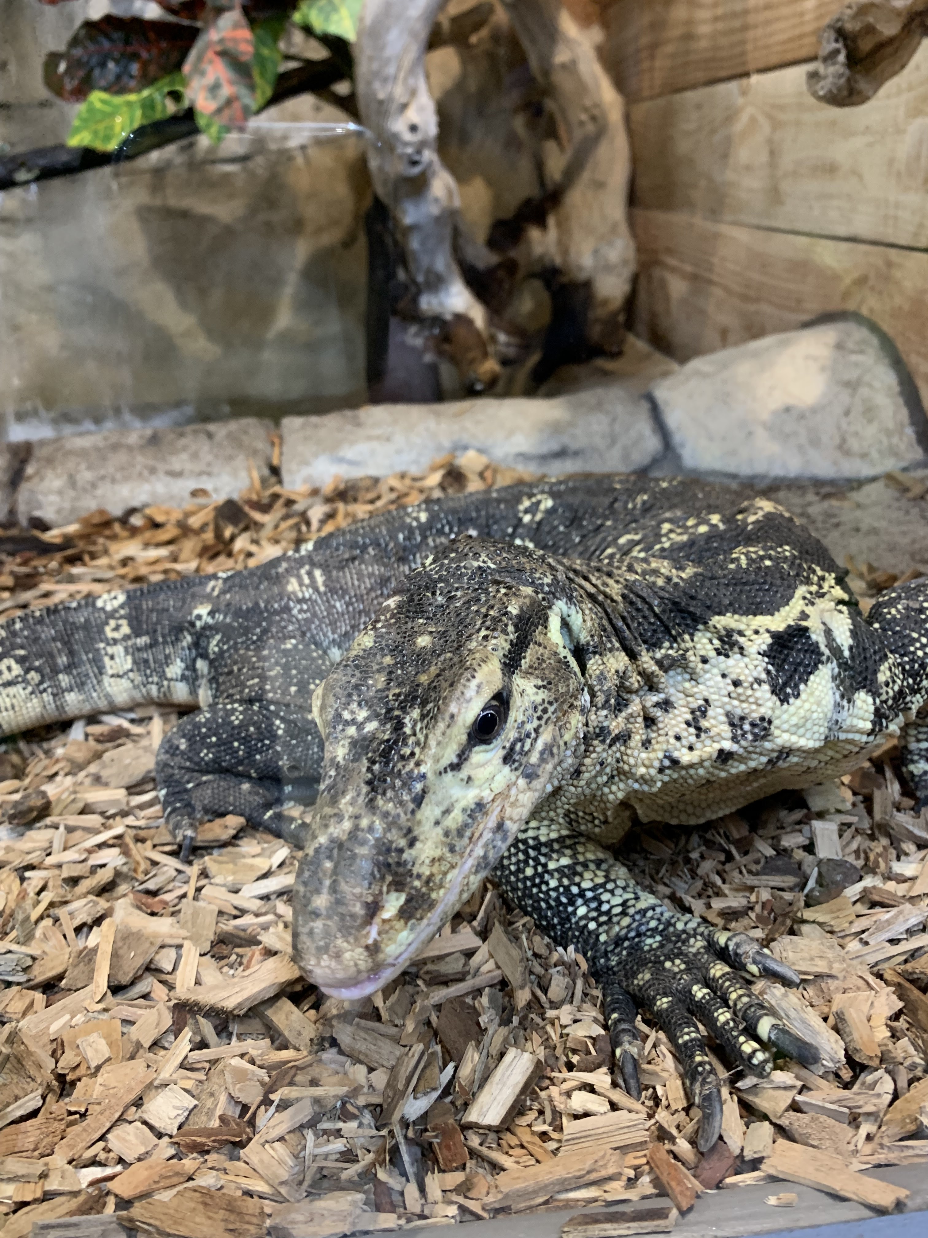 Photo n° 1 de l'avis de jonathan.e fait le 09/07/2021 à 05:49