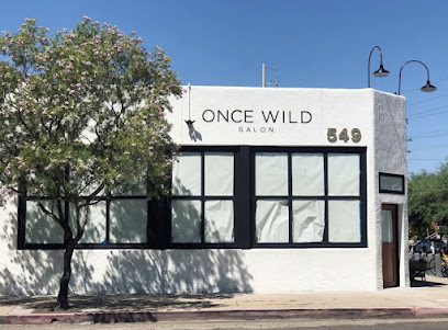 Once Wild Salon Craft Stylists & Curated Goods