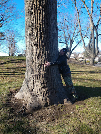 Garden «Lynch Park Rose Garden», reviews and photos, Lynch Park, Beverly, MA 01915, USA
