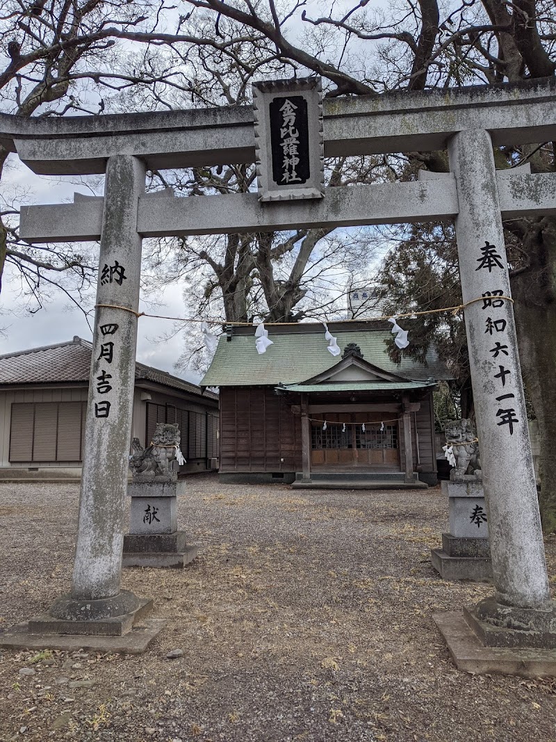 金刀比羅神社のエノキ