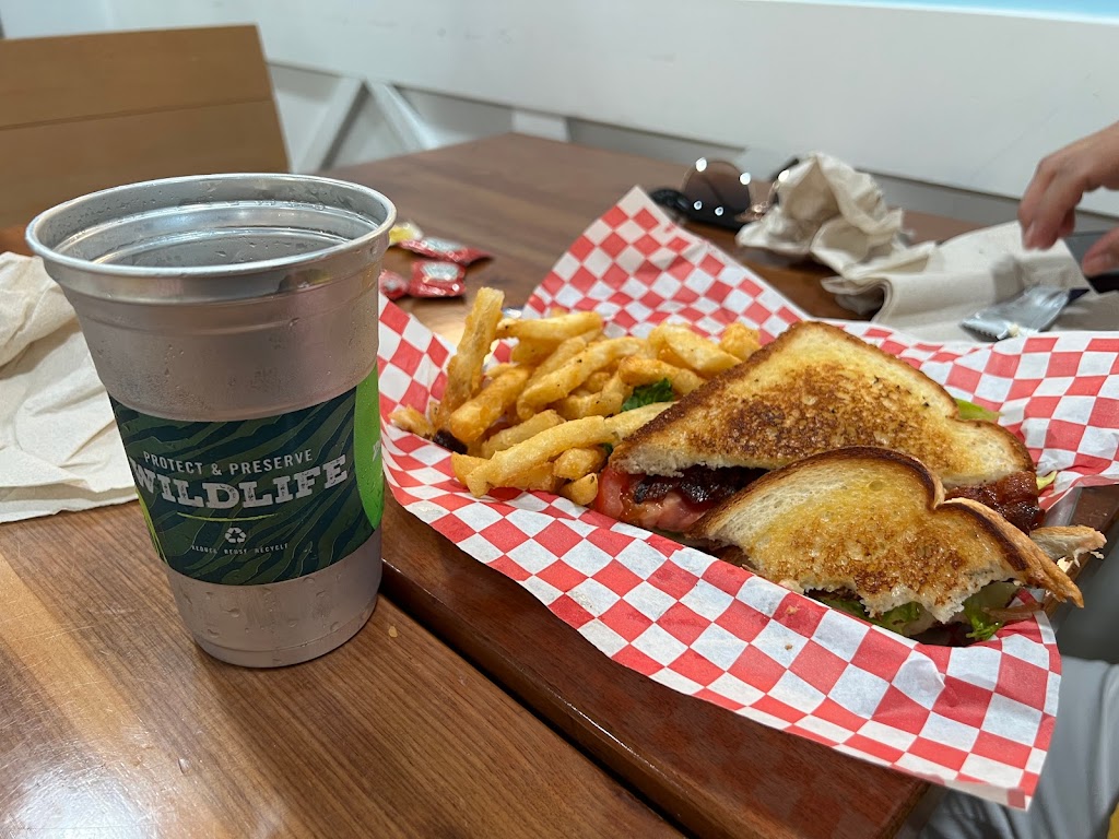 Macaw's Landing Café 33604