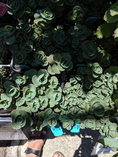 Building Materials Store «ProBuild», reviews and photos, 235 River St, Santa Cruz, CA 95060, USA