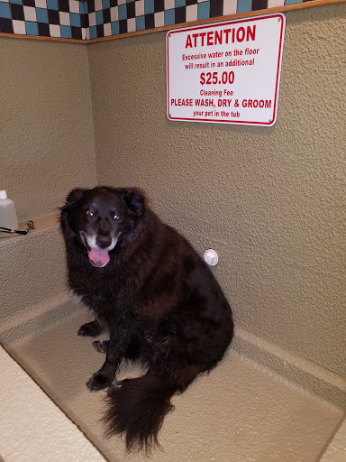 Pet Store «Cookies Pet Corner & Wash», reviews and photos, 1010 Bethel Ave, Port Orchard, WA 98366, USA