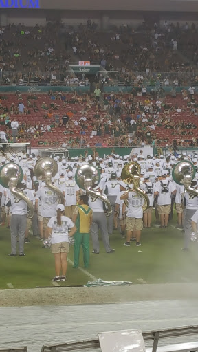 Stadium «Tampa Sports Authority», reviews and photos, 4201 N Dale Mabry Hwy, Tampa, FL 33607, USA