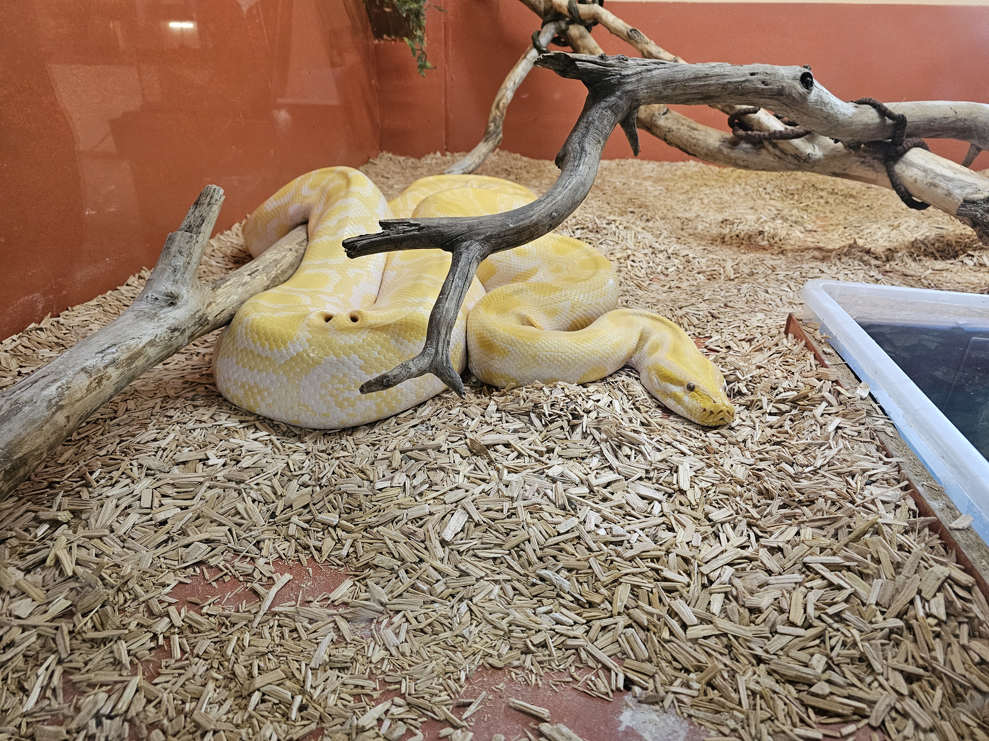 Photo n° 2 de l'avis de Padawan. fait le 17/07/2023 à 20:11