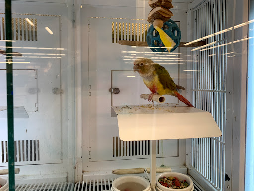 Bird shop New Haven