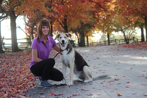 Club K9 at the Ranch