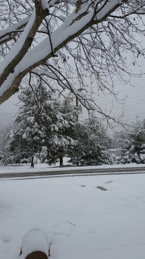 Homeless Shelter «Hospitality House of Boone», reviews and photos