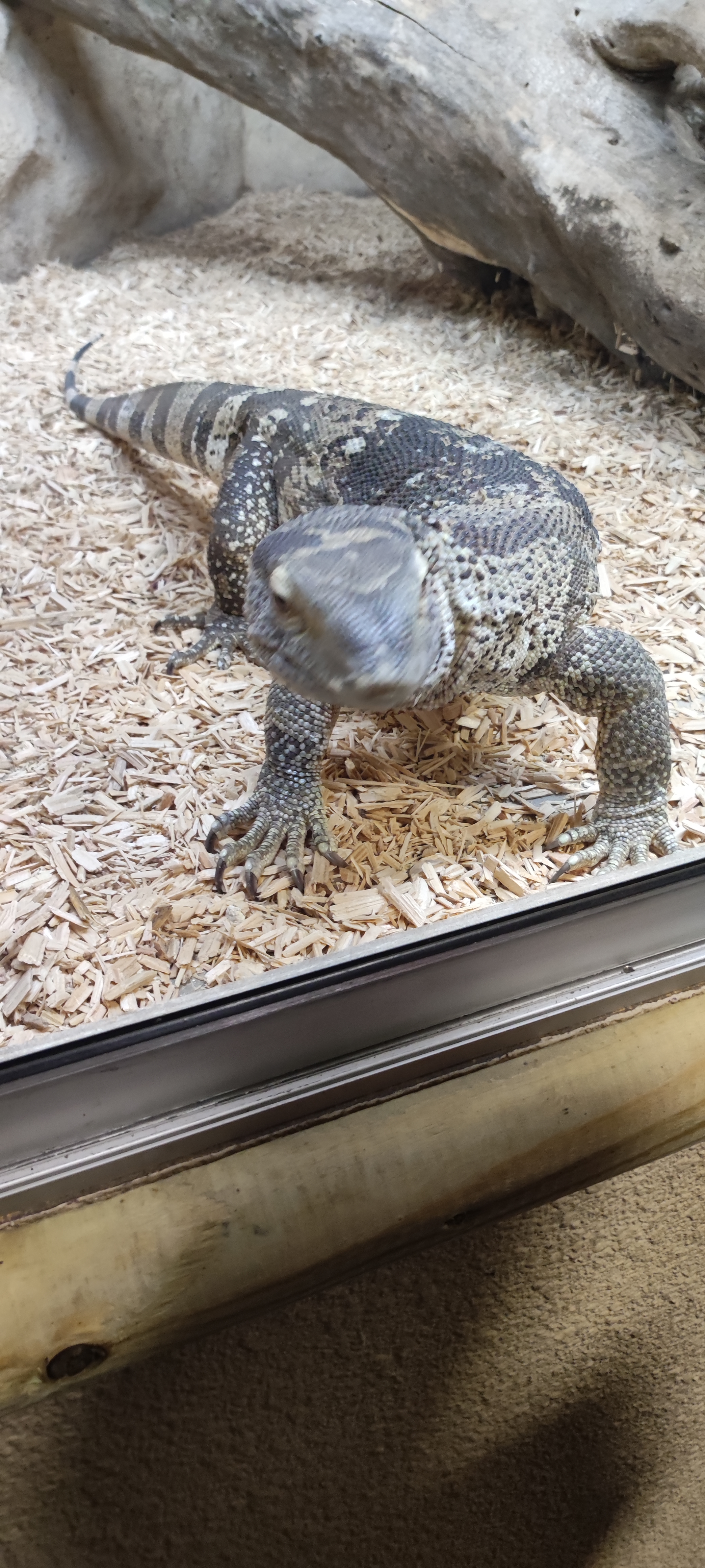 Photo n° 8 de l'avis de Yannick.o fait le 11/02/2023 à 16:29