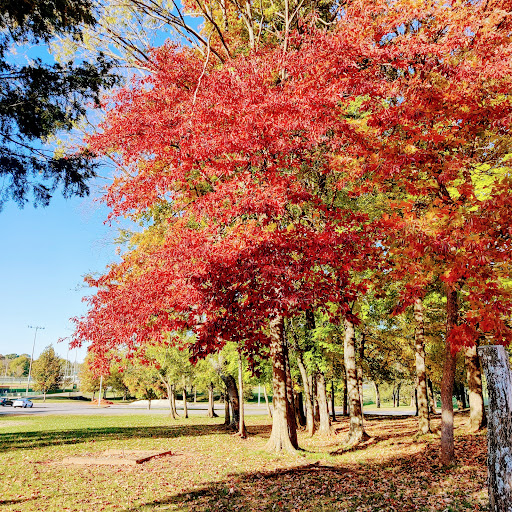 Park «Barfield Crescent Park», reviews and photos, 697 Veterans Pkwy, Murfreesboro, TN 37128, USA