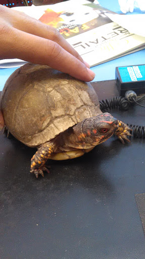 Pet Supply Store «C & C Pet Food For Less», reviews and photos, 16134 Nordhoff St, North Hills, CA 91343, USA