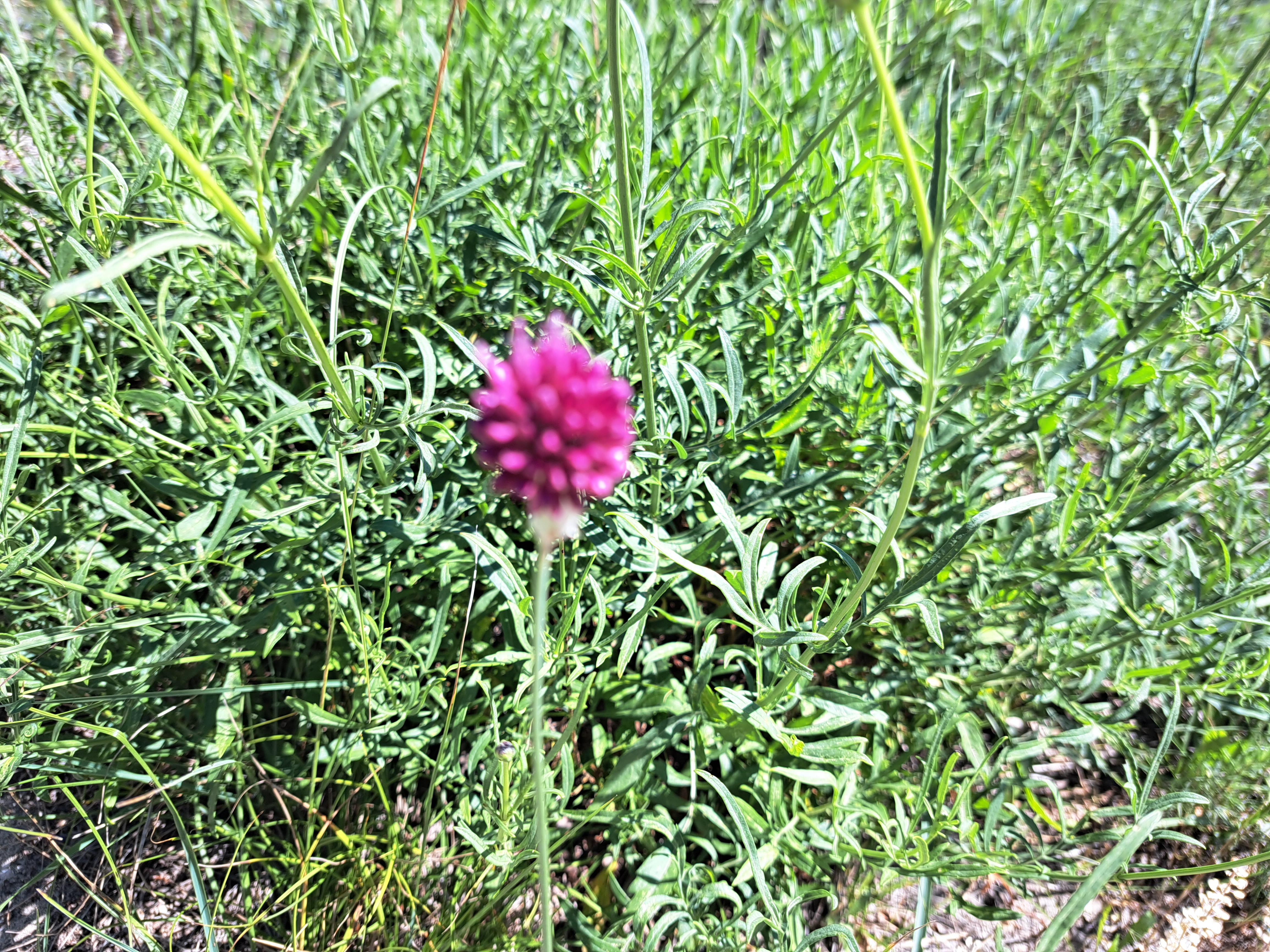 Photo n° 5 de l'avis de j.c fait le 09/07/2023 à 19:34