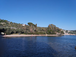 Photo de Lagoudi beach zone sauvage
