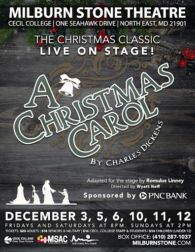 Performing Arts Theater «The Milburn Stone Theatre», reviews and photos, 1 Seahawk Dr, North East, MD 21901, USA