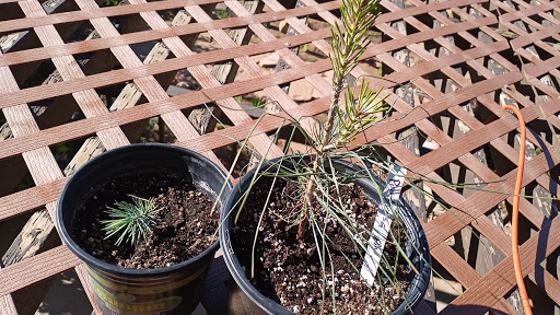 Community College «San Juan College», reviews and photos