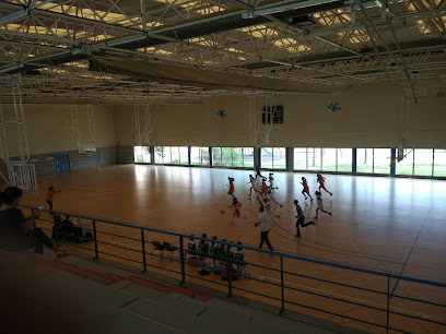 Sociedad Municipal de Deportes - Carr. a los Olivos, s/n, 35300 Sta Brígida, Las Palmas, Spain