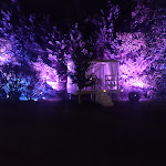 Photo n°2 de l'avis de Fabio.o fait le 10/07/2022 à 17:16 sur le  Pitocca - New Classic Restaurant à Villa Motta