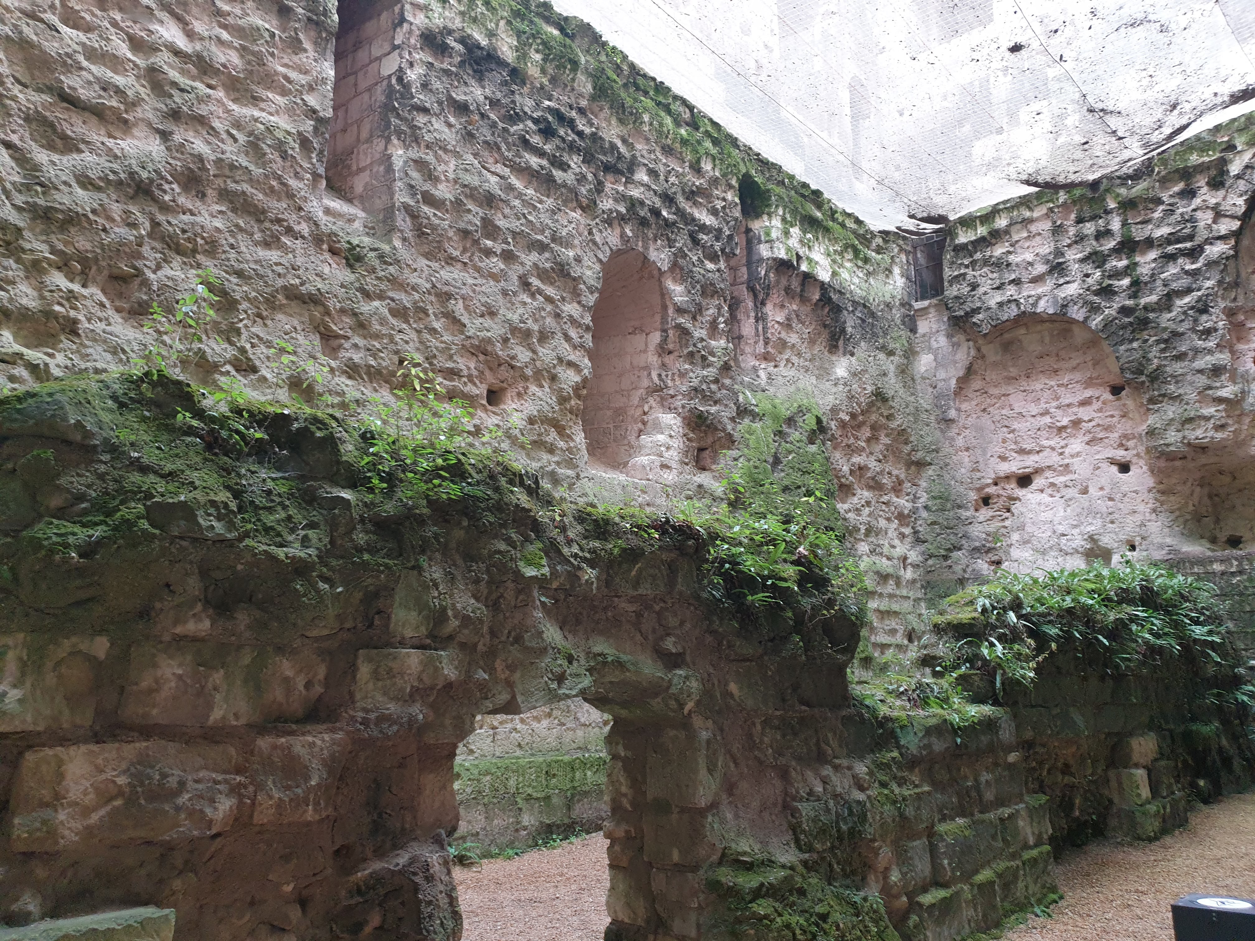 Photo n° 14 de l'avis de Philippe.o fait le 18/08/2022 à 21:01